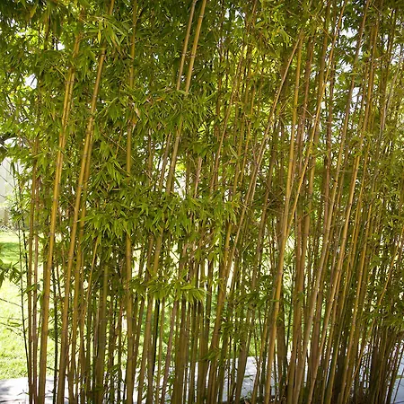 아파트 La Della Meda