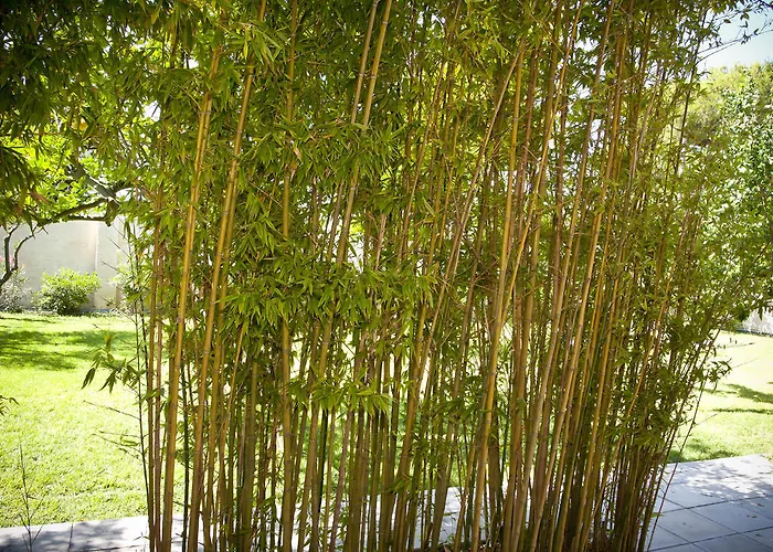 Appartement La Della Meda